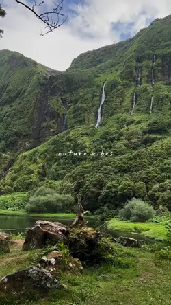 nature vibes