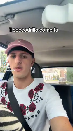 il coccodrillo 