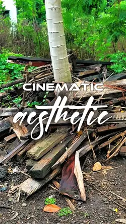 TABOLA-BALE CINEMA