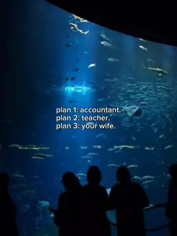 plan 1,2,3