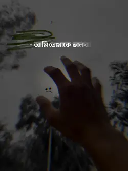 আল্লাহ ভালো বসেন আমাদের 