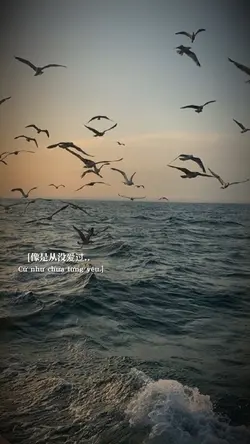 Mẫu lyric 