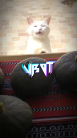 test effect