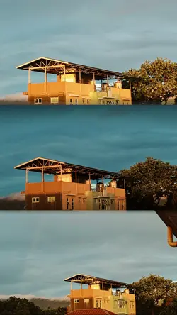 3 Pics/Vids 