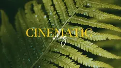 cinematic vlog