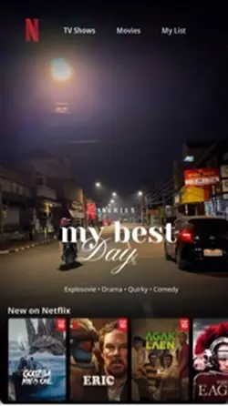 NETFLIX ESTETIK