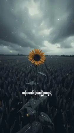 1phto