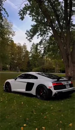 RS8🔥🔥🔥