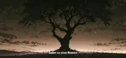 a place you might kn