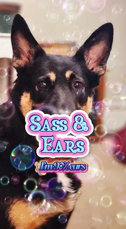Sassy Ears