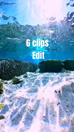 6 Clip edit template