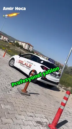 Profesyonel şablon
