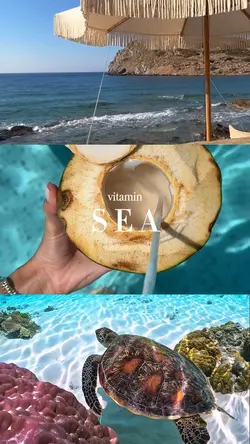 vitamin sea