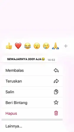 sewajarnya 2009 aja