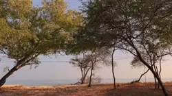 Tren pantai