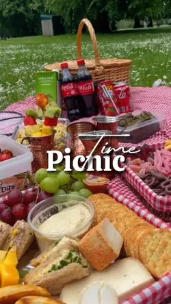 Vlog picnic