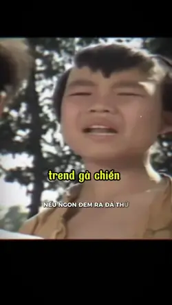 trend gà chiến 
