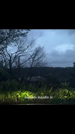 Humsafar