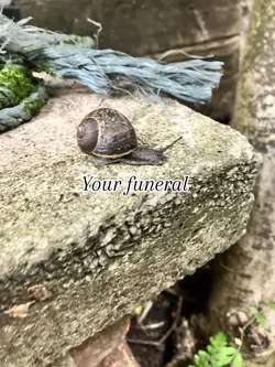 Your funeral 