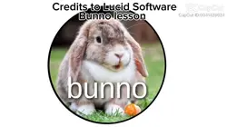 Bunny Lesson