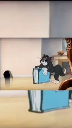 Tom Memes