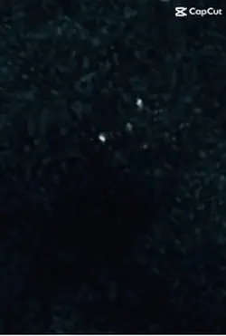 Teeth 5 seconds