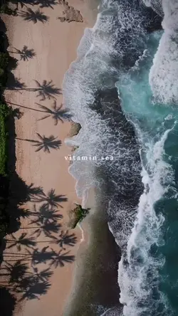 vitamin sea