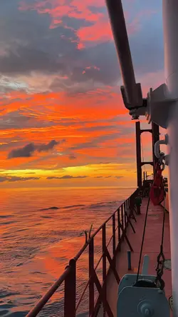 1 VID SUNSET