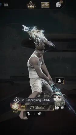 trend bunlde