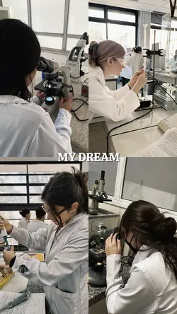 my dream