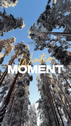 Winter moment