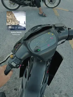 mat motor