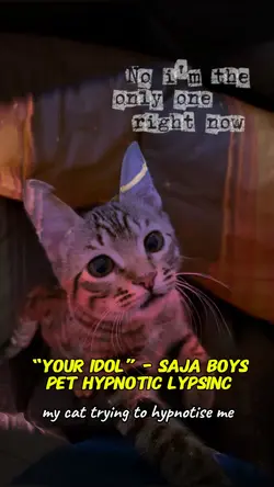 Cat Lipsync