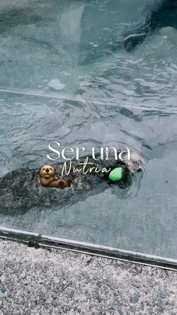 Aquarium