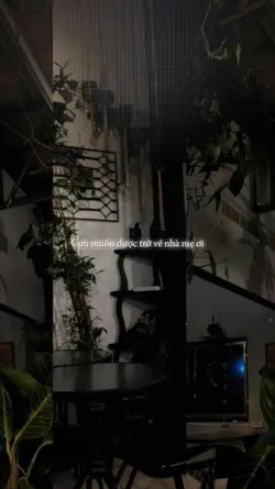 Con muốn được trở về