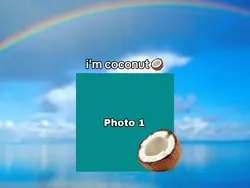 I'm coconut 