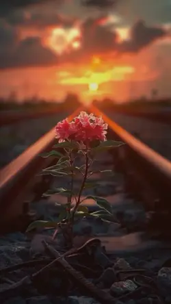 Cinematic video