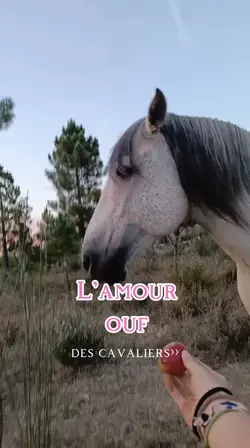 l'amour fou 