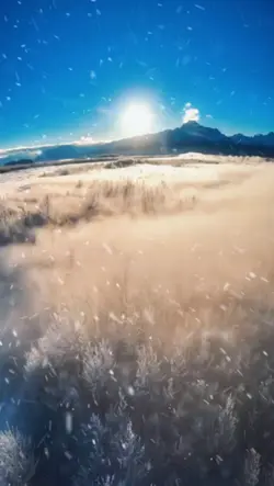 WINTER WONDERLAND
