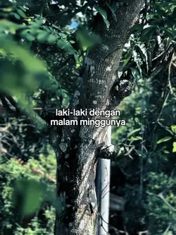 Malam Minggu