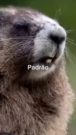 final de semana