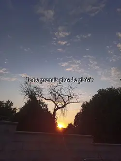 Ma lumière 