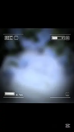 プロポーズ