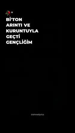 Bir gecede bitti