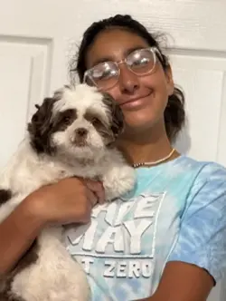 animals