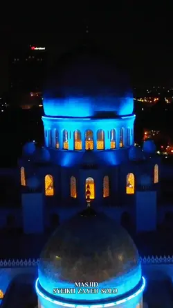 Portrait Drone Pro 1