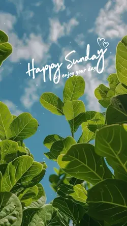 Happy Sunday