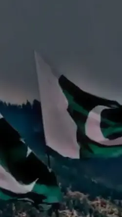 Pakistan Flag 