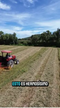 Esto es hermosísimo 