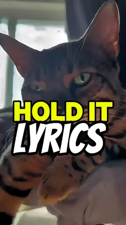 Hold it! 😼😾😸🏆